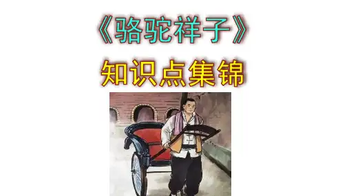 七下语文名著阅读《骆驼祥子》知识点集锦含答案