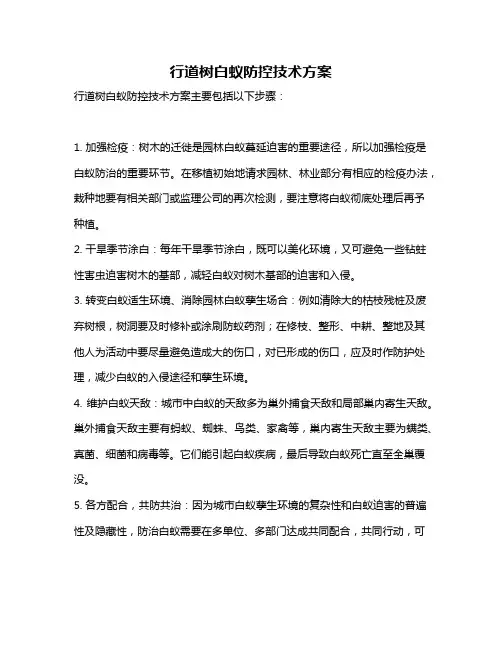 行道树白蚁防控技术方案