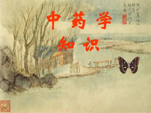 中药学基础知识-PPT