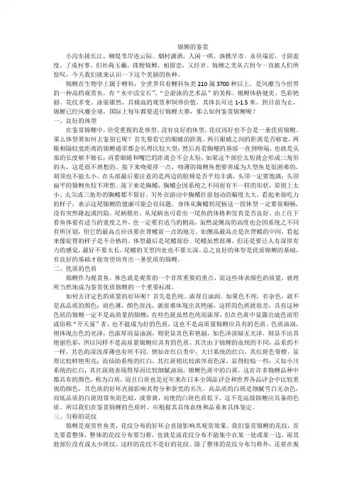 锦鲤的鉴赏