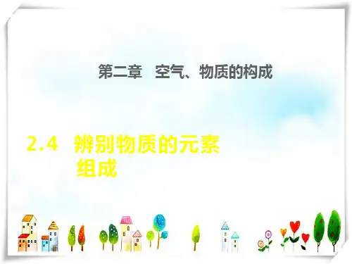 2022九年级化学上册 第二章 空气、物质的构成2.4 辨别物质的元素组成授课课件 科学版