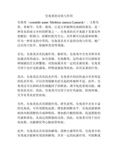 皂角荚的功效与作用
