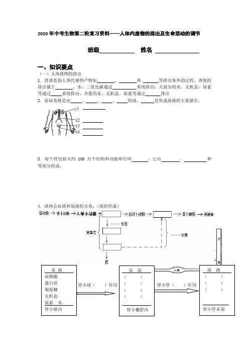2020年中考生物第二轮复习资料——人体内废物的排出及生命活动的调节
