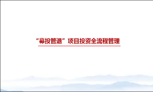 项目投资全流程管理 