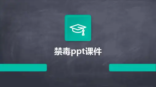 2024版禁毒ppt课件