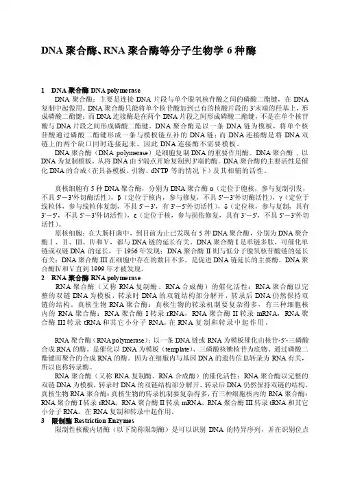 [汇总]DNA聚合酶、RNA聚合酶等分子生物学6种酶