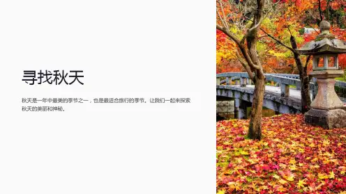 《寻找秋天》课件