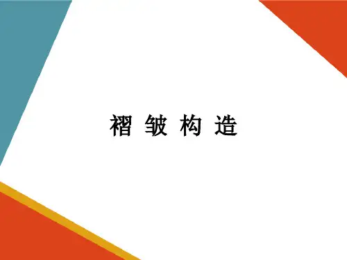 地质构造—褶皱构造(工程地质课件)