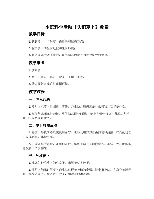 小班科学活动《认识萝卜》教案
