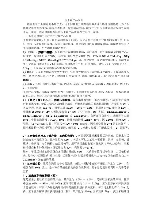 玉米副产 品简介