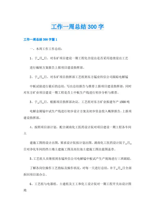 工作一周总结300字
