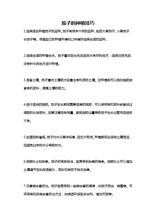 茄子的种植技巧
