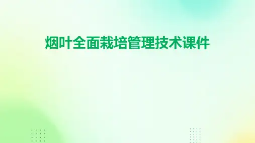烟叶全面栽培管理技术课件
