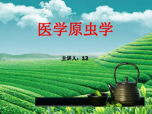 原虫概论与阿米巴课件