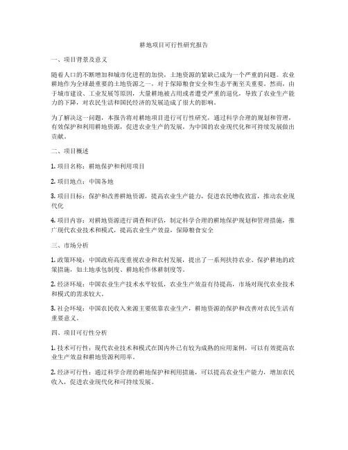 耕地项目可行性研究报告