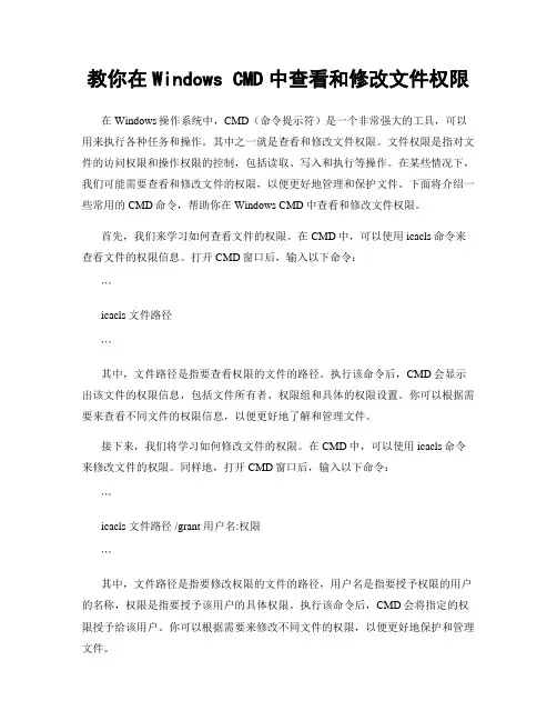 教你在Windows CMD中查看和修改文件权限