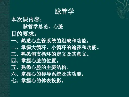 中医学  脉管学