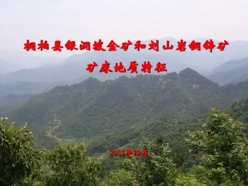 桐柏地区典型金银矿床