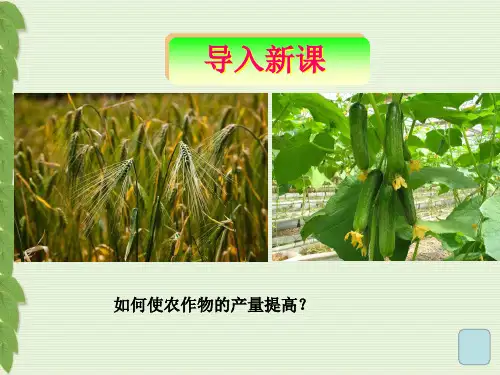 《课题1 化肥和农药》PPT课件(辽宁省市级优课)