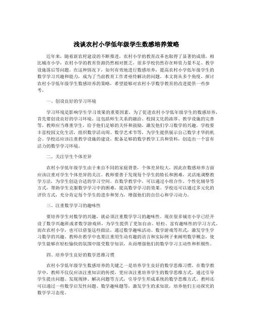 浅谈农村小学低年级学生数感培养策略