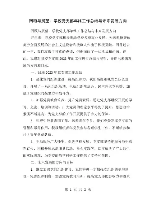 回顾与展望：学校党支部年终工作总结与未来发展方向