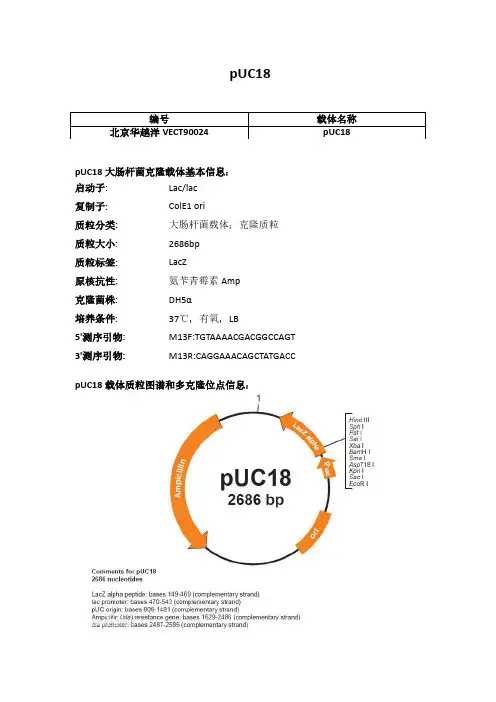 pUC18使用说明