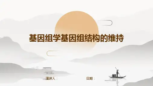 基因组学基因组结构的维持