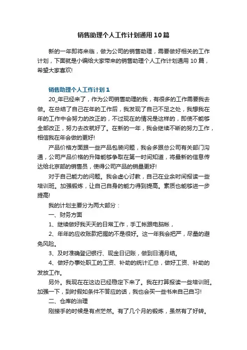 销售助理个人工作计划通用10篇