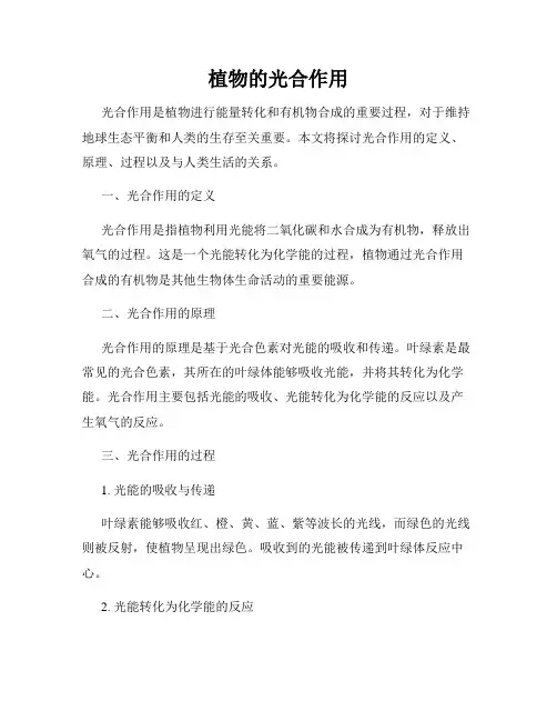 植物的光合作用