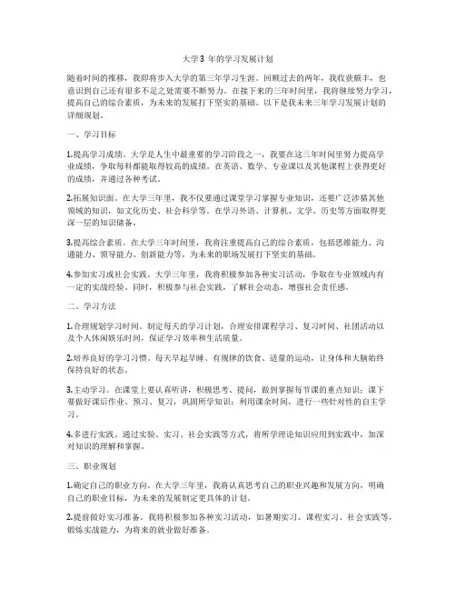 大学3年的学习发展计划