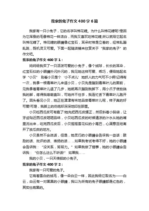 我家的兔子作文400字6篇