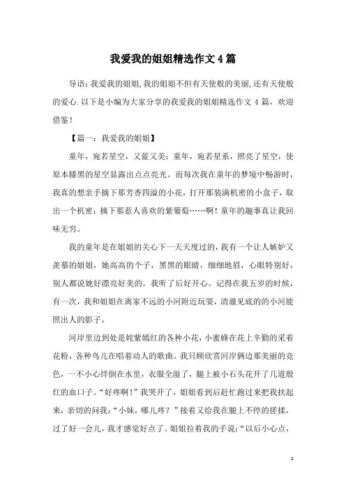 我爱我的姐姐精选作文4篇