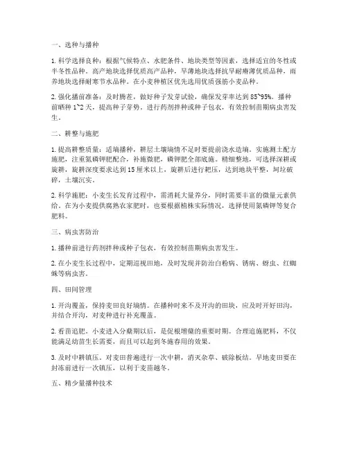 小麦种植管理技术总结