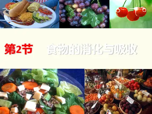 食物的消化与吸收完整版课件