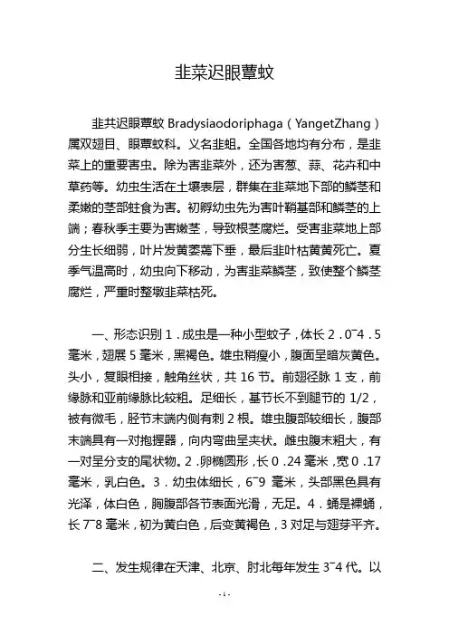 韭菜迟眼蕈蚊
