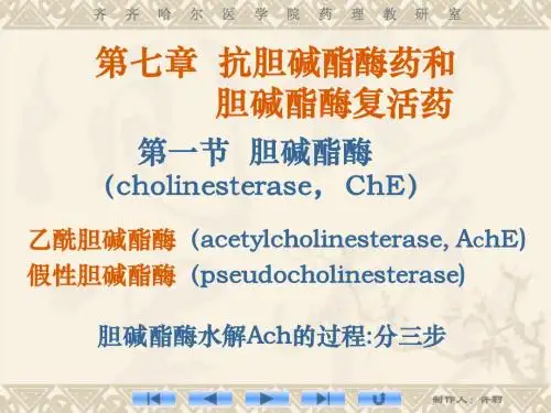 第7章  抗胆碱酯酶药和           胆碱酯酶复活药