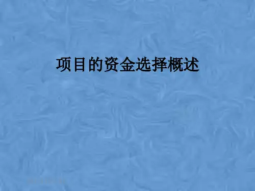 项目的资金选择概述
