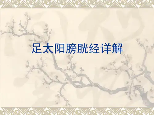 足太阳膀胱经详解参考PPT