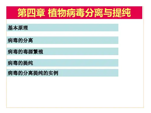 分离提纯.
