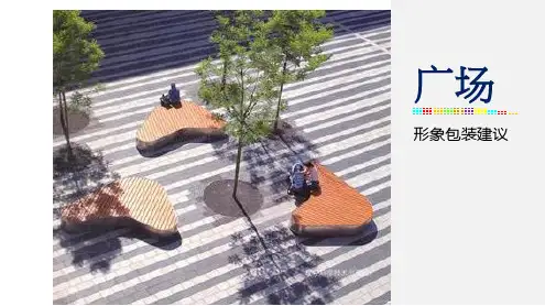 商业包装策略建议