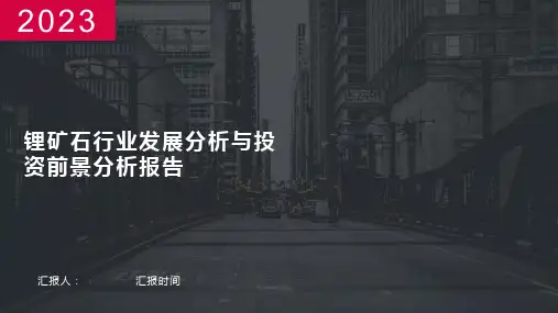 锂矿石行业发展分析与投资前景分析报告