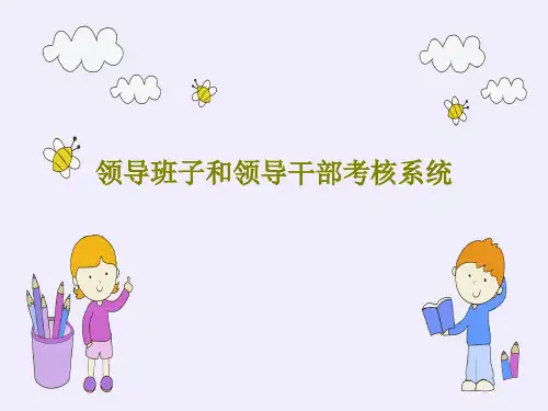 领导班子和领导干部考核系统共31页