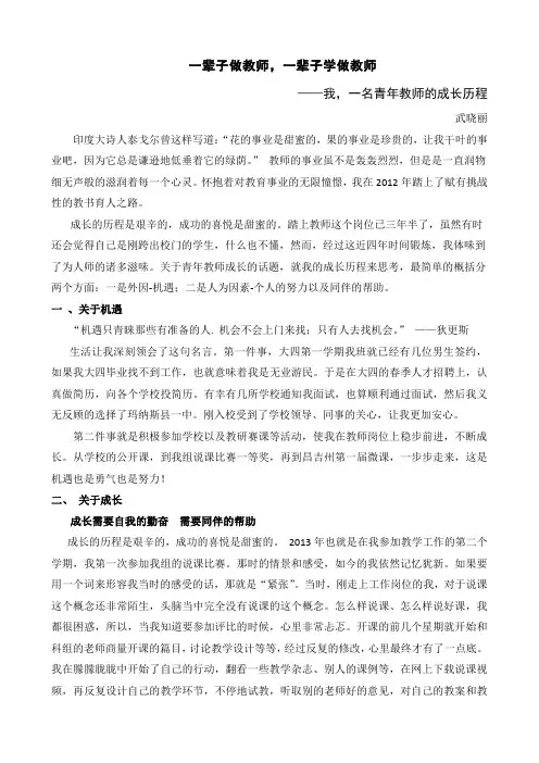 我-一名青年教师的成长历程