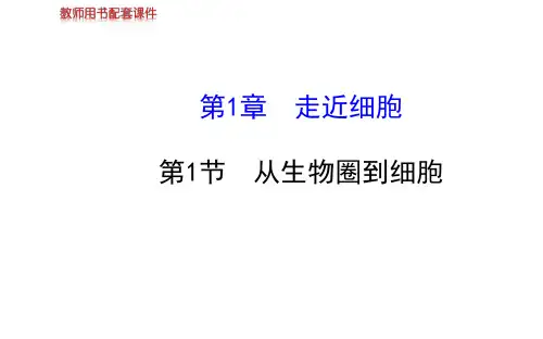高中生物第一章第一节ppt课件