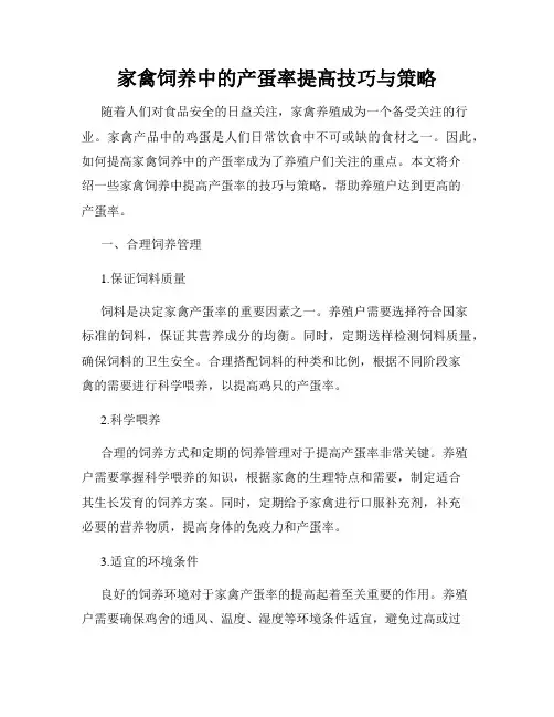 家禽饲养中的产蛋率提高技巧与策略