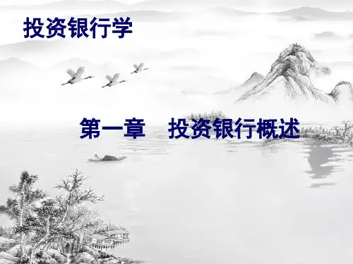 第一章-投资银行概述ppt课件(全)