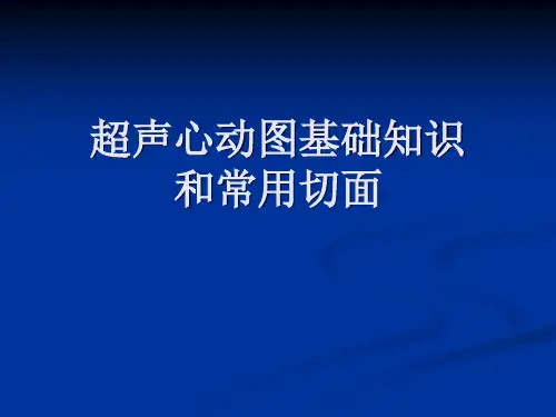 超声心动图基础知识和常用切面精品PPT课件