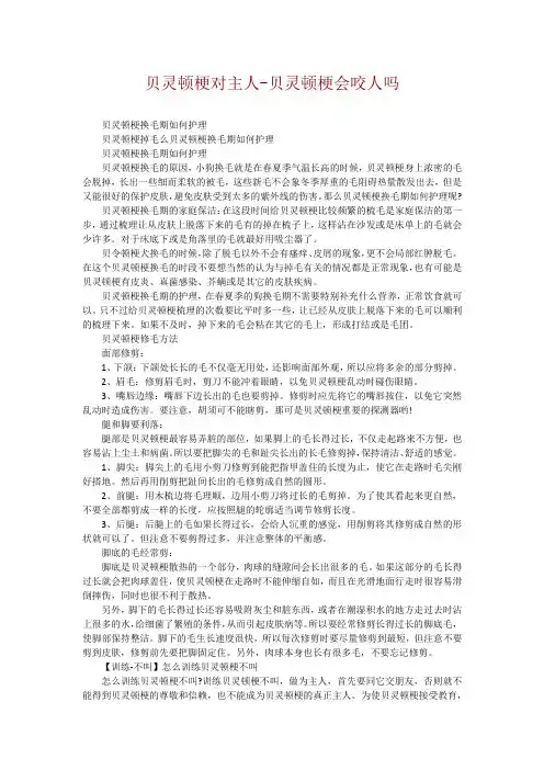 贝灵顿梗对主人-贝灵顿梗会咬人吗