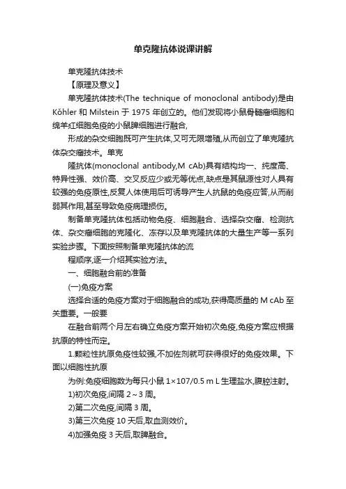单克隆抗体说课讲解