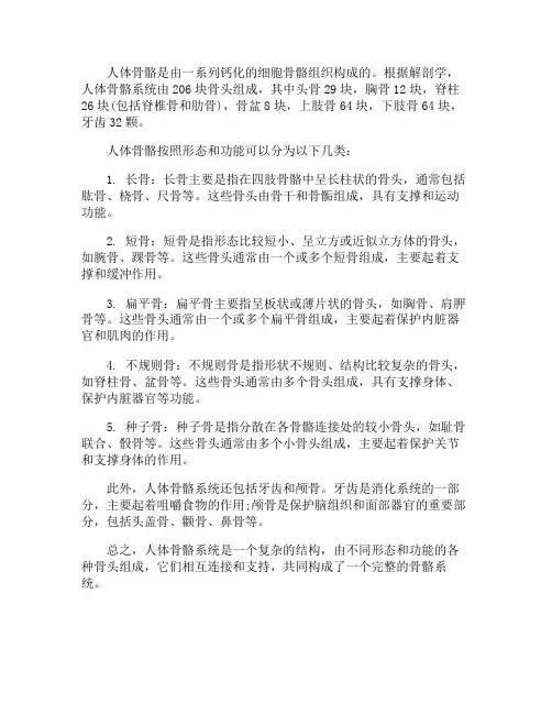 人体骨骼的组成